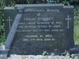 image of grave number 972789